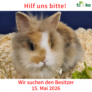 Fundtiere FB(89)